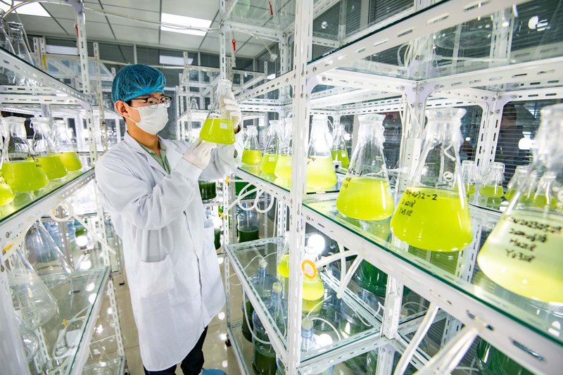 武汉清华康源生物科技有限公司在2023年上半年交出了亮眼成绩单，其煤炭板块不仅提前完成了“时间过半、任务过半”的目标，还在市场波动中稳住了脚跟。本文将从多个维度解析公司如何达成这一成绩，并分享一些宝贵的实践经验。
