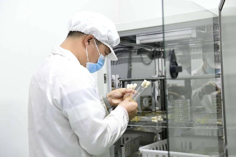 武汉清华康源生物科技有限公司在上半年实现了煤炭板块的“双过半”任务，这一成绩的背后究竟隐藏着怎样的秘密？让我们一起走进这家公司的成功之路。